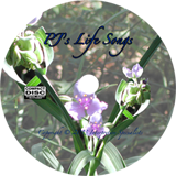 Interpretive Specialists presents PJ's Life Songs